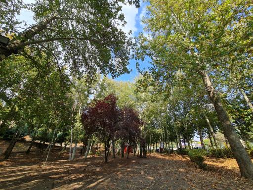 عکس پارک ملت