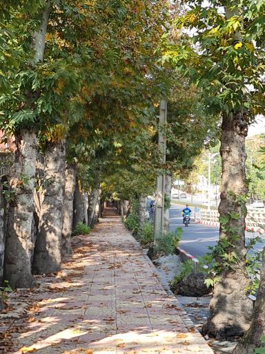 عکس پارک ملت