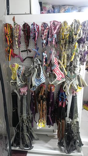 عکس پخش دان  پرندگان و پت شاپ فراز