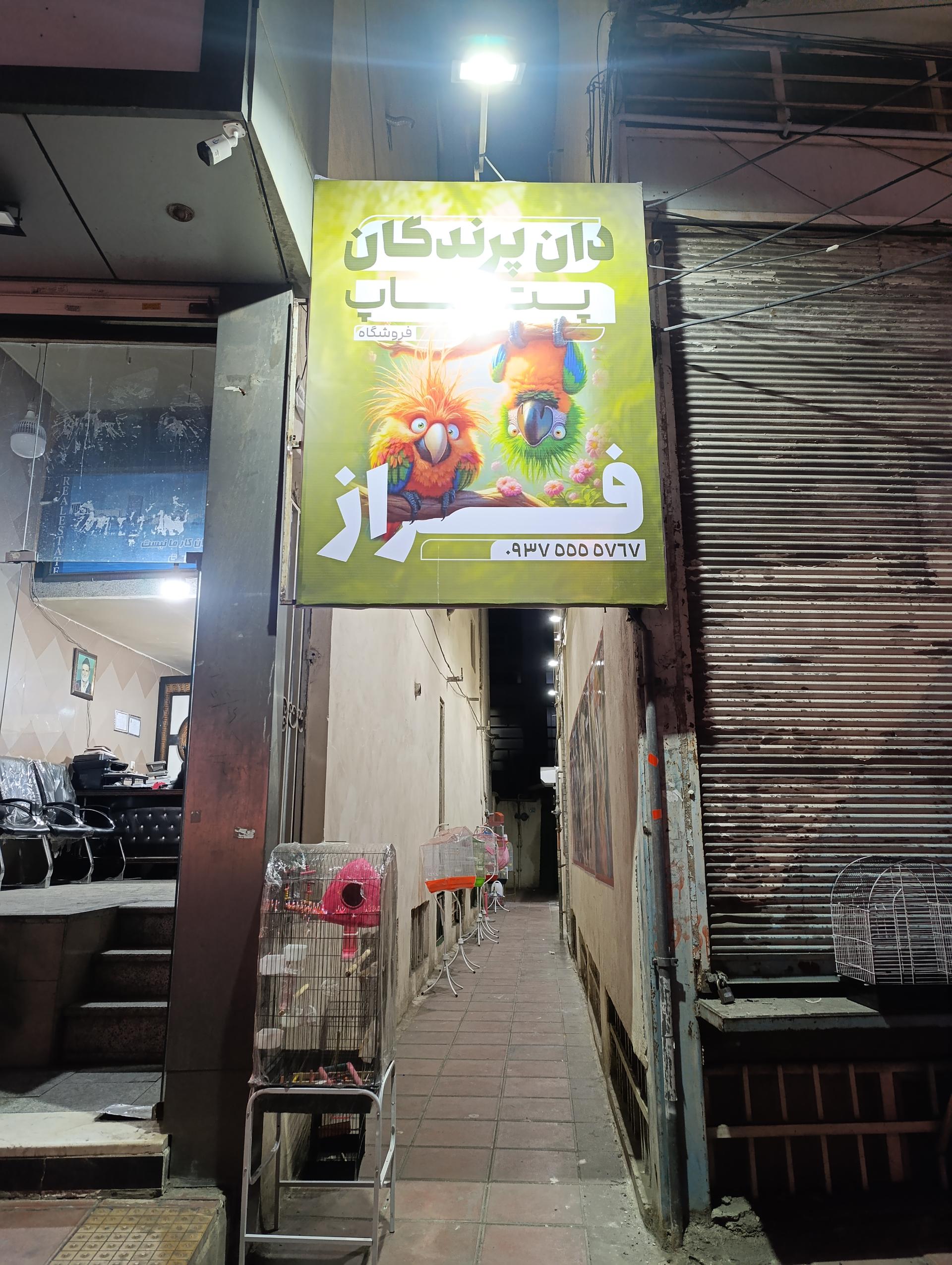 عکس پخش دان  پرندگان و پت شاپ فراز