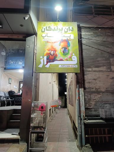 عکس پخش دان  پرندگان و پت شاپ فراز