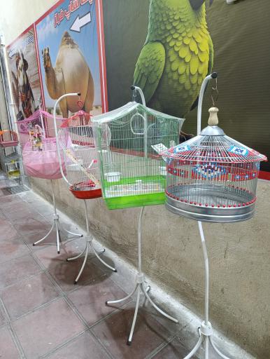 عکس پخش دان  پرندگان و پت شاپ فراز