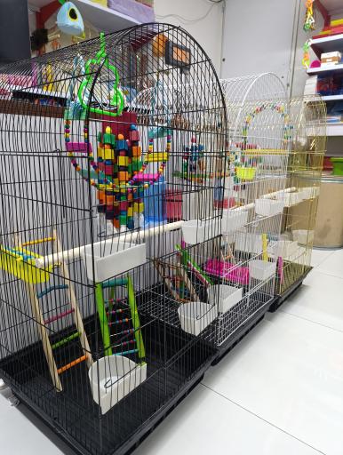 عکس پخش دان  پرندگان و پت شاپ فراز