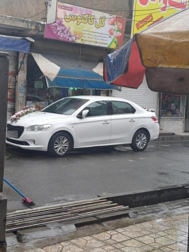 عکس گل فروشی کاکتوس