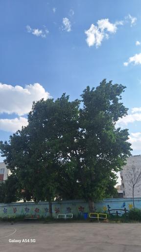 عکس دبیرستان دخترانه شاهد شهید محبی