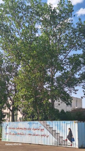 عکس دبیرستان دخترانه شاهد شهید محبی