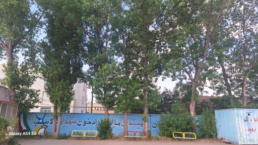 عکس دبیرستان دخترانه شاهد شهید محبی