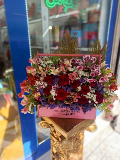 عکس گل فروشی کاکتوس