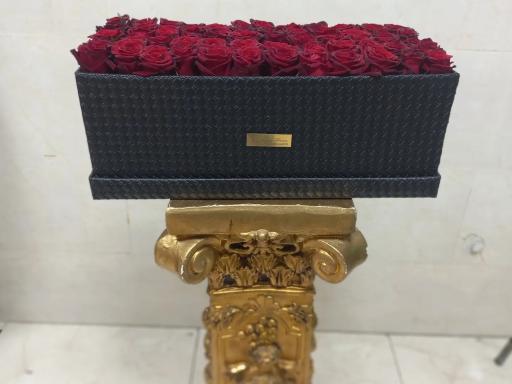 عکس گل فروشی کاکتوس