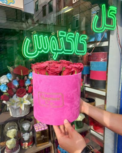 عکس گل فروشی کاکتوس