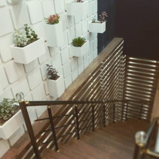 عکس فست فود پوپ