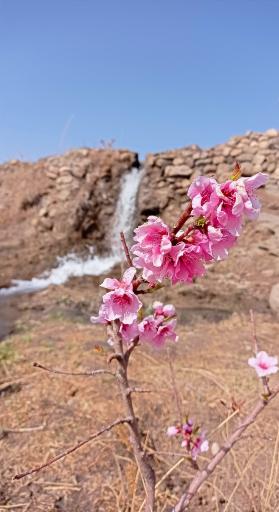 عکس مهماندوست