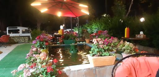 عکس فست‌فود زعفران طلایی 