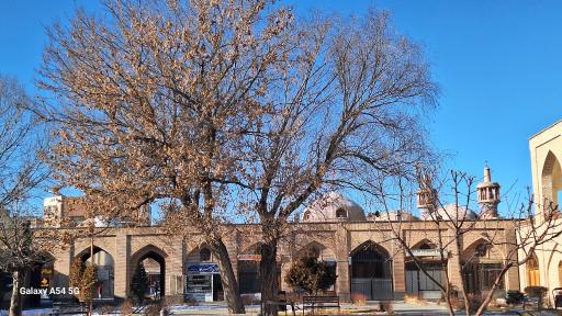 عکس پارک شیخ