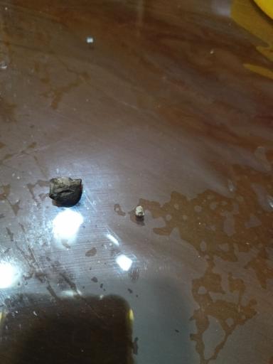 عکس شله درباری