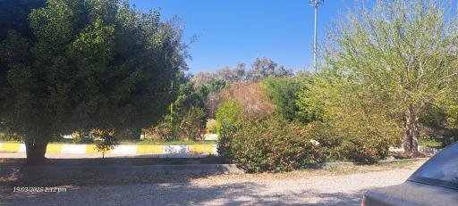 عکس پارک دولت