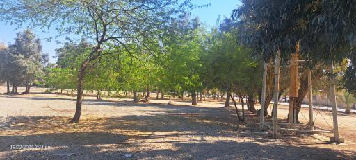 عکس پارک دولت