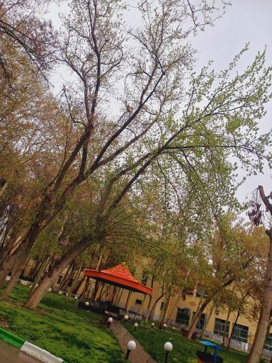 بیمارستان امام رضا