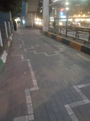 عکس  پارک گلها