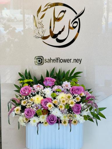 عکس گل ساحل 