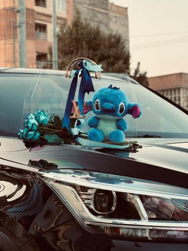 عکس گل ساحل 