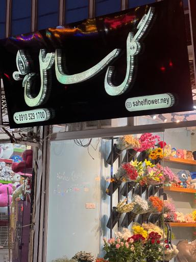 عکس گل ساحل 