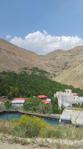 عکس واریش