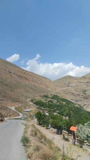 عکس واریش