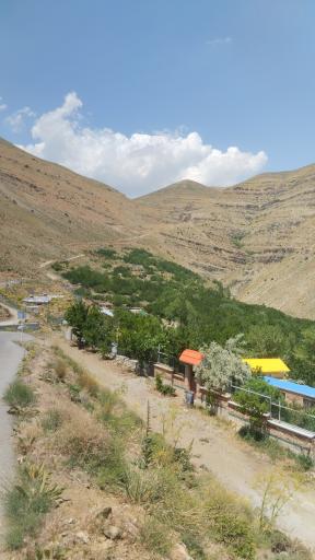 عکس واریش