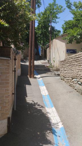 عکس واریش