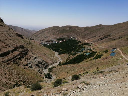 عکس واریش