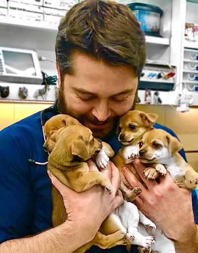 عکس پلی کلینیک تخصصی دامپزشکی پارسا