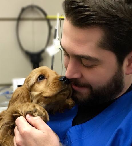 عکس پلی کلینیک تخصصی دامپزشکی پارسا