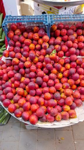 عکس میوه سرای بهار ۶۵