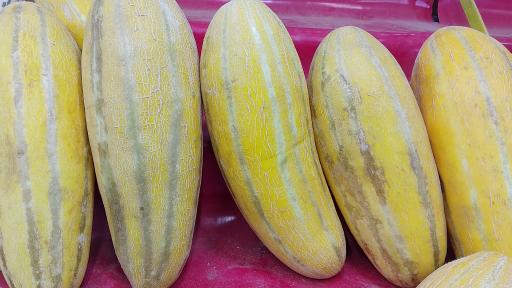 عکس میوه سرای بهار ۶۵