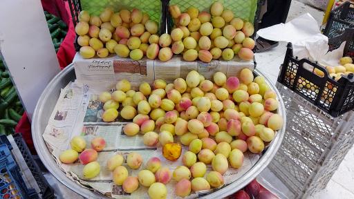 عکس میوه سرای بهار ۶۵