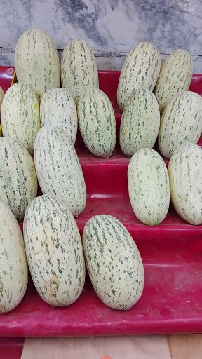 عکس میوه سرای بهار ۶۵