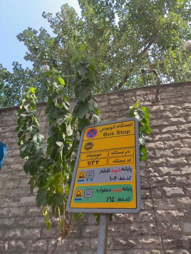 عکس نوبنیاد