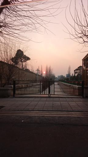 عکس بوستان موزه قصر