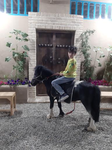 مزرعه بازی میشا