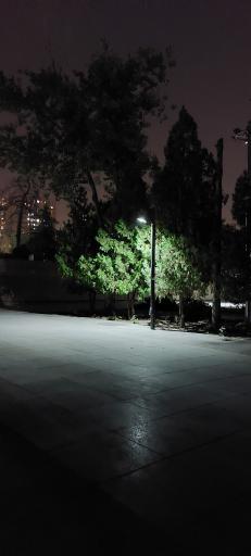 عکس بوستان موزه قصر