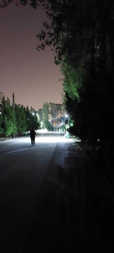 عکس بوستان موزه قصر