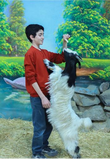 عکس مزرعه بازی میشا