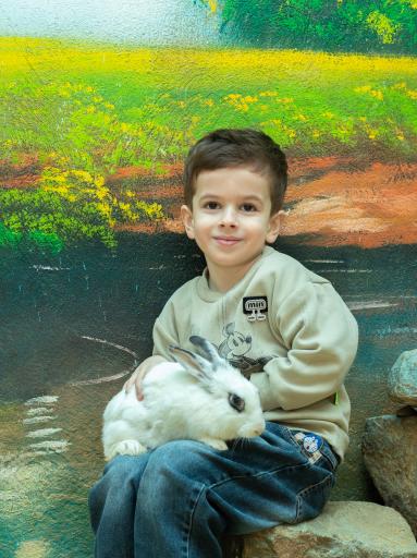 عکس مزرعه بازی میشا