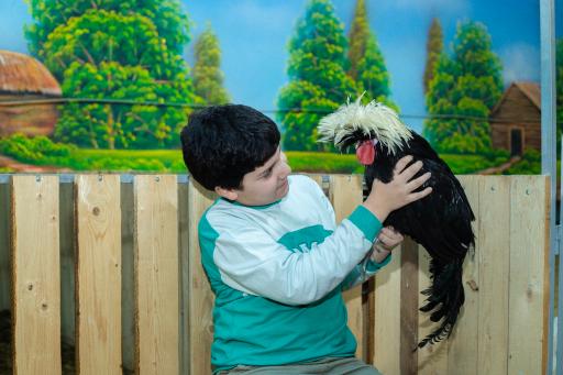 عکس مزرعه بازی میشا