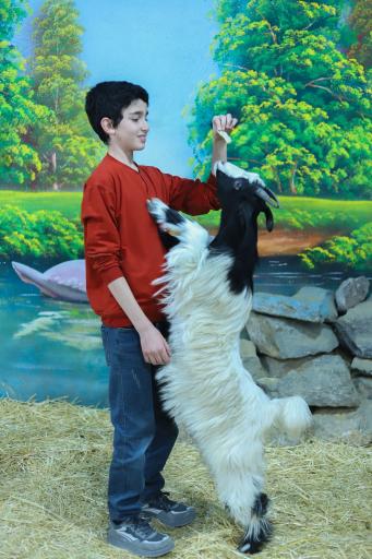 عکس مزرعه بازی میشا