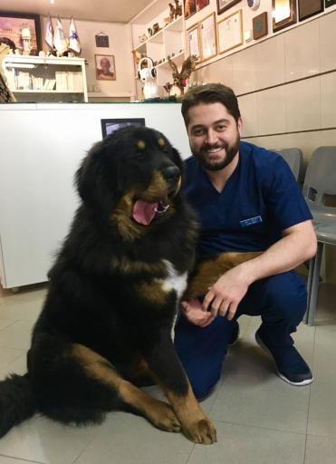 عکس پلی کلینیک تخصصی دامپزشکی پارسا