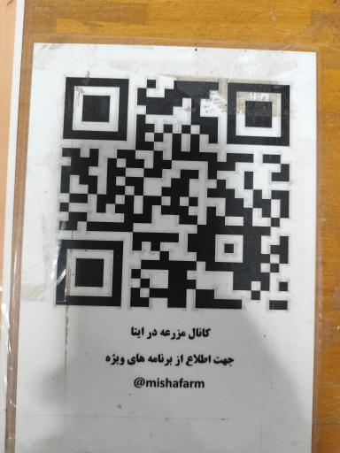 عکس مزرعه بازی میشا