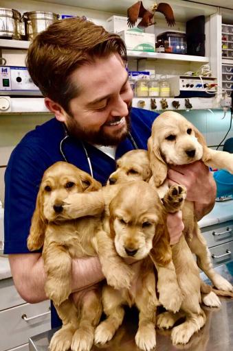 عکس پلی کلینیک دامپزشکی پارسا