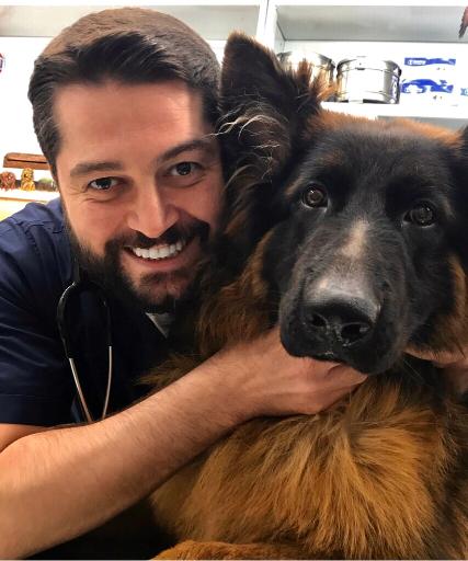 عکس پلی کلینیک تخصصی دامپزشکی پارسا